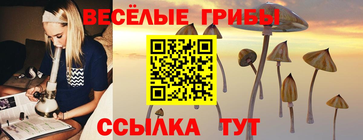 где найти наркотики  Вход с VPN  Сердобск  Галлюциногенные грибы Magic Shrooms 